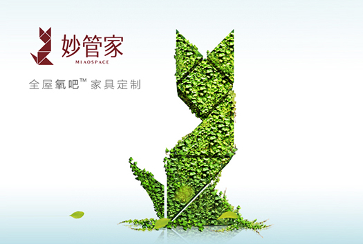 妙管家網(wǎng)站建設(shè)案例